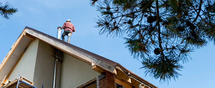 Birds Removal Contractors from Chimney in Bradley, IL